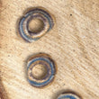 Load image into Gallery viewer, shelf mushroom cap beads close up
