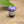 Load image into Gallery viewer, Purple mushroom dreadlock bead
