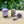 Load image into Gallery viewer, purple mushroom bead set
