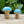 Load image into Gallery viewer, blue mushroom bead for dreadlocks
